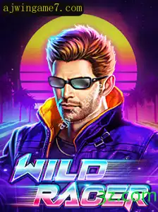 Guia Completo sobre WildRacer: Descrição, Introdução e Regras do Jogo